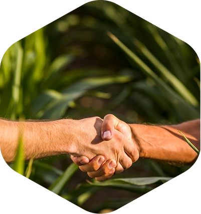 Imagen manos estechando